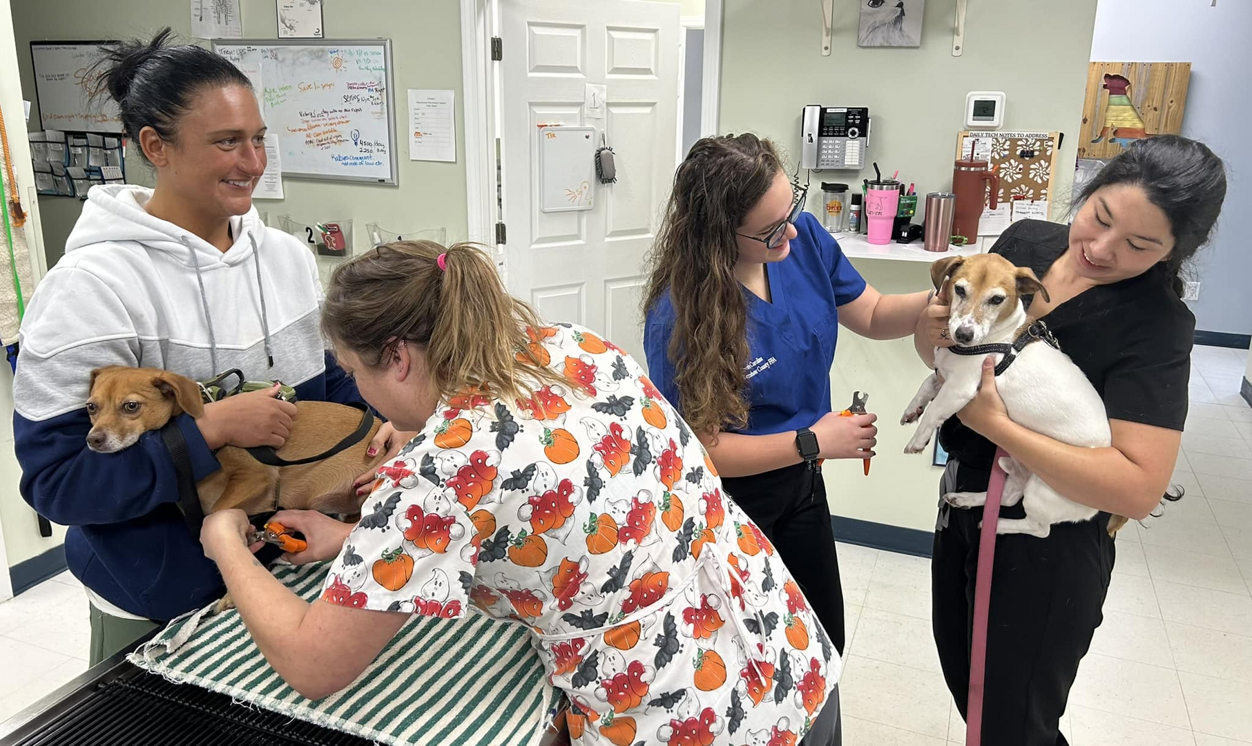 Spears Creek Veterinary Clinic team with patients