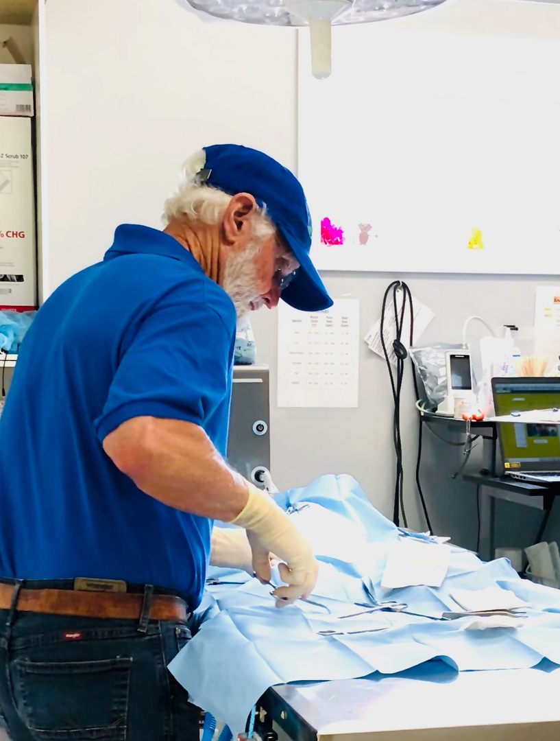 Madison — team member at Spears Creek Veterinary Clinic